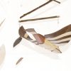 Some Birds Make Me Smile - Jay Rubinstein - Image 5